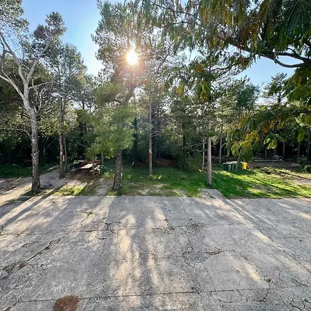 In 53136 * Jadranovo